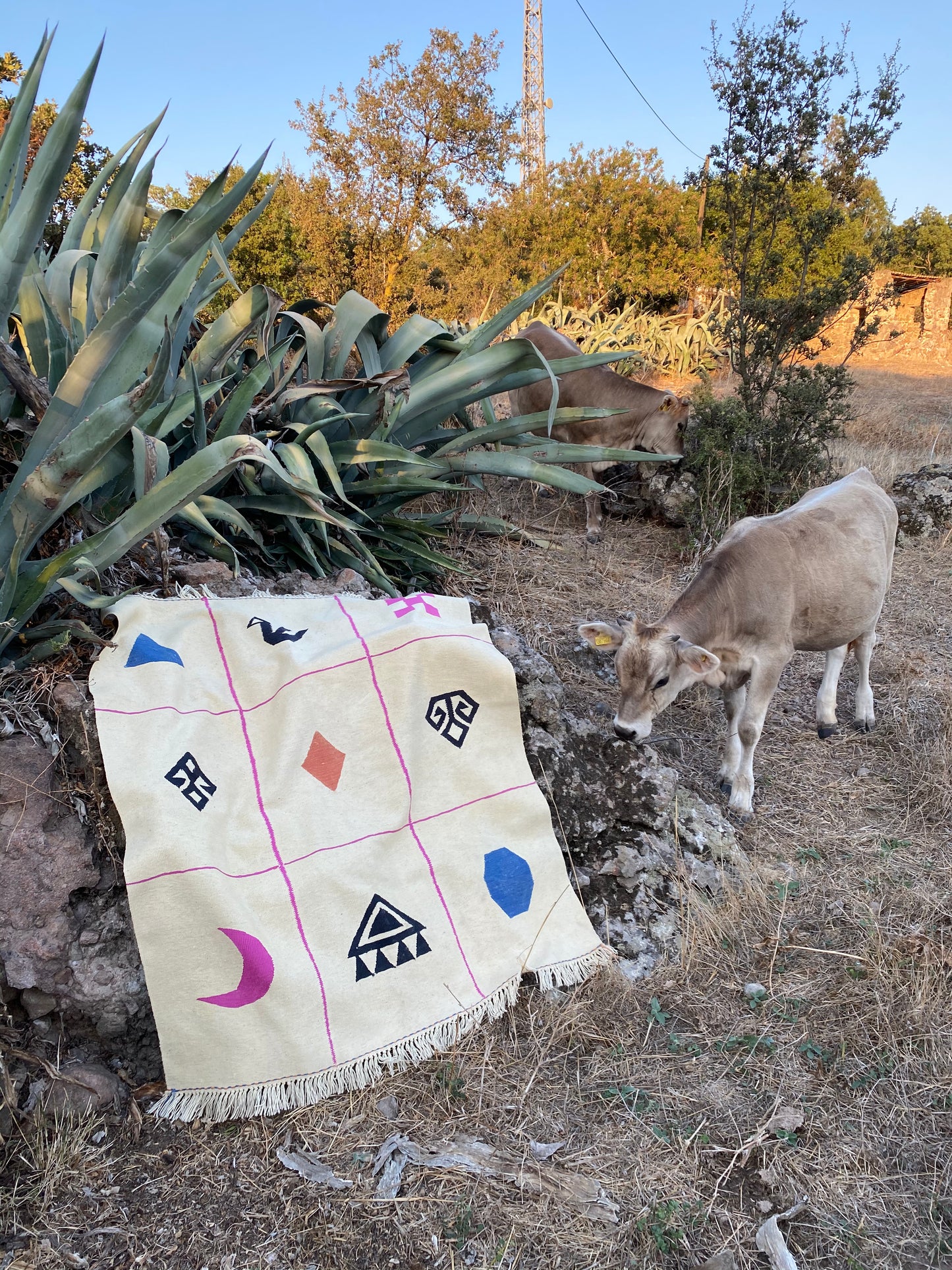 Elibelinde Rug
